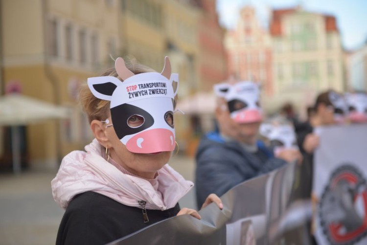 Wrocław: protestowali przeciwko długodystansowemu transportowi zwierząt [ZDJĘCIA], Wojciech Bolesta